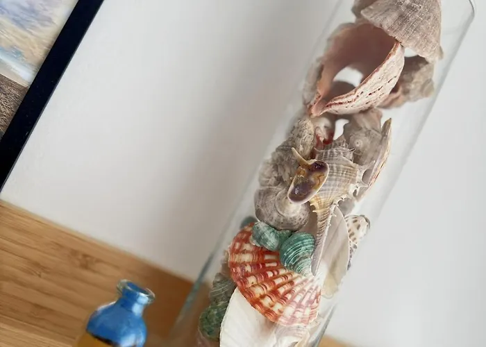 Urban Oasis Варна