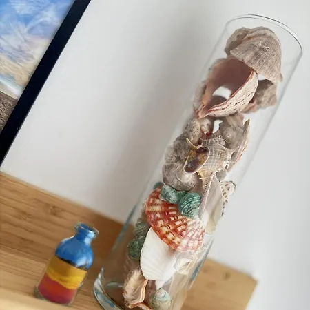 Urban Oasis Варна